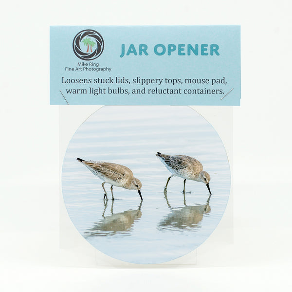 White Rump Sandpipers Gifts