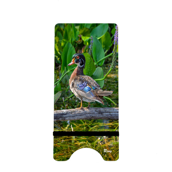 Wood Duck 1 Gifts