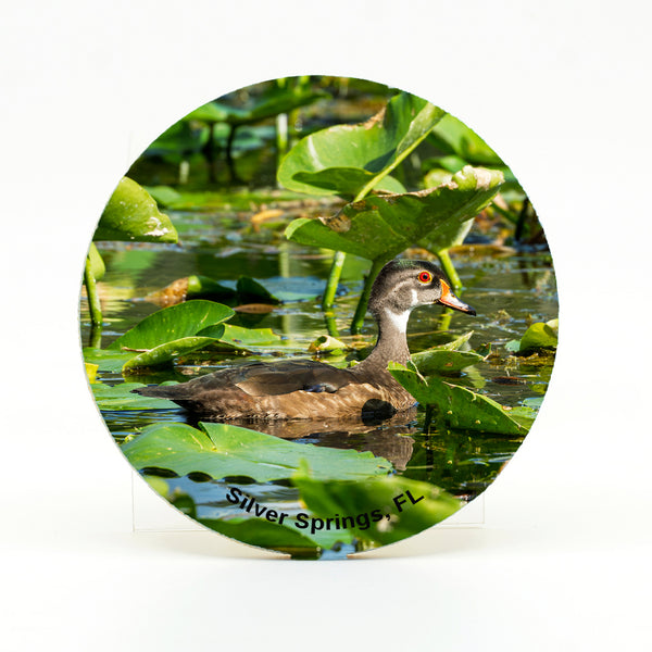 Wood Duck 4 Gifts