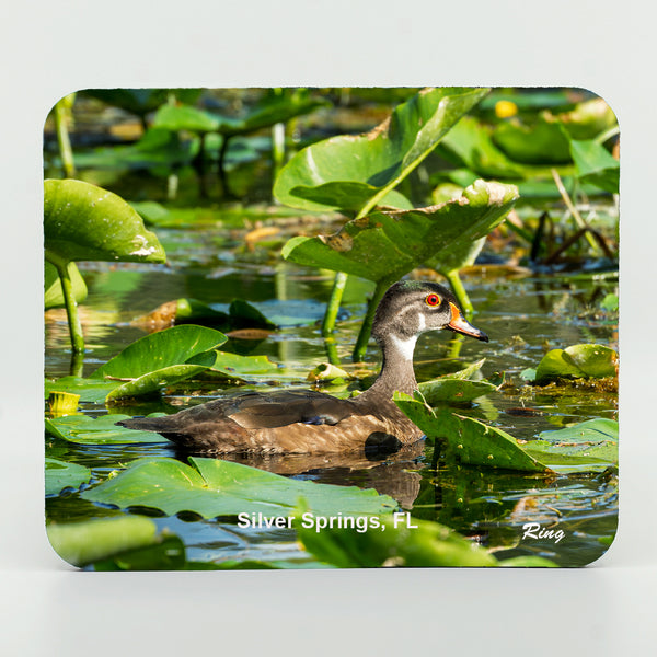 Wood Duck 4 Gifts