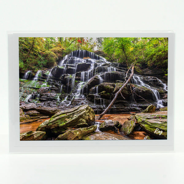 Yellow Branch Falls Gifts