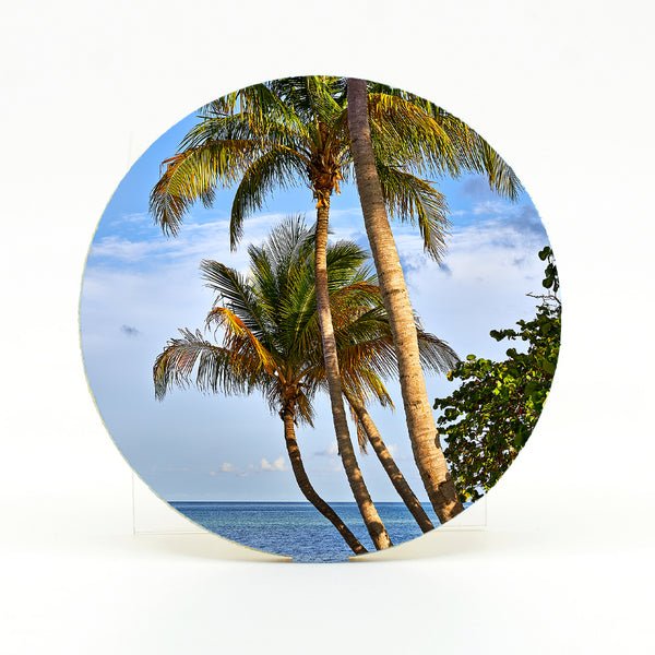 Coconut Palms 7 Gifts