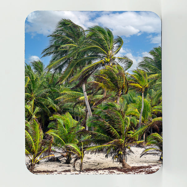 Coconut Beach Gifts