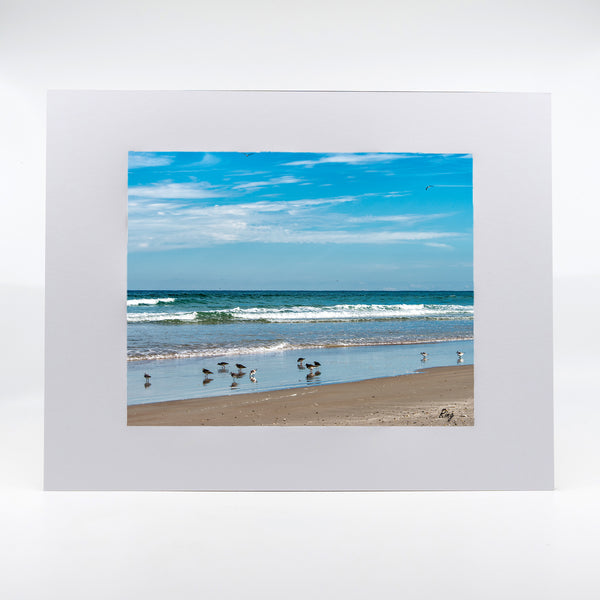 New Smyrna Beach Gifts