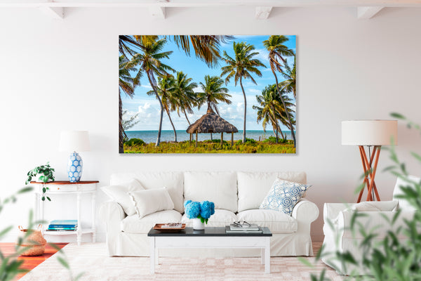 Coconut Paradise 1