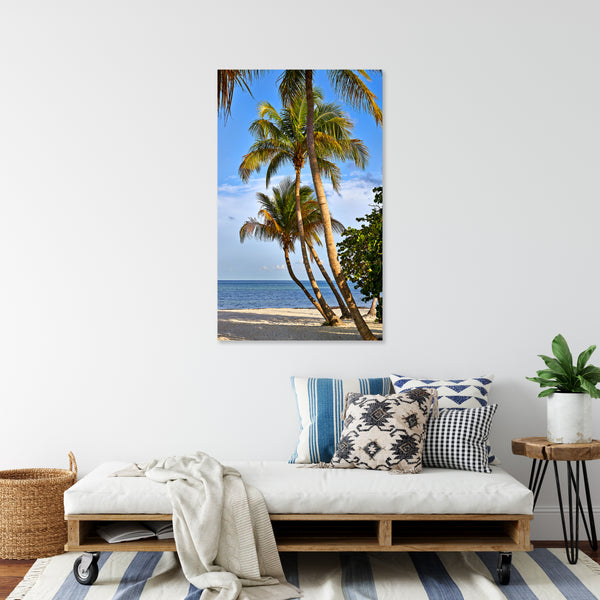 Coconut Palms 7