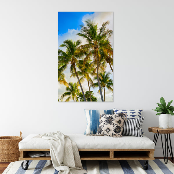 Coconut Palms 8