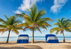 A photo of Cabanas and Coconut Palm Trees on Coco Cay, Bahamas 