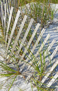 A photo of dune fencing on a sand dune on the beach