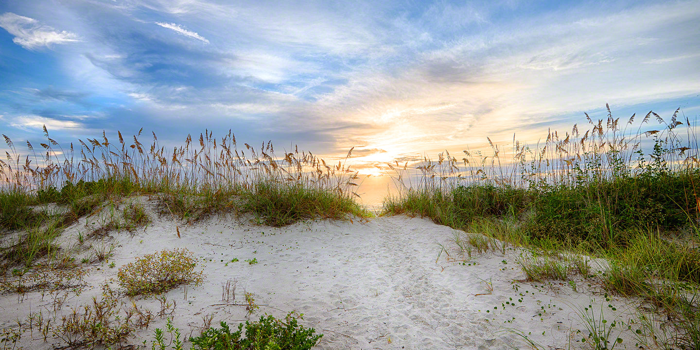 A beautiful sunrise over a beach dune with sea oats in New Smyrna Beach, Florida