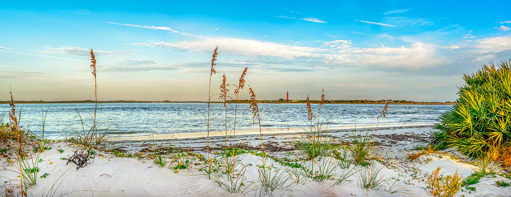 A panoramic view of Smyrna Dunes Park also known as Dog Beach in New Smyrna Beach, Florida