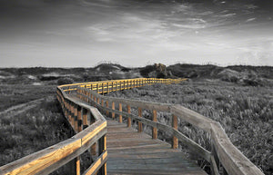 A photo of a boardwalk at sunrise in Smyrna Dunes Park