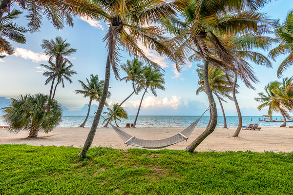 A photo of a hammock in the palm trees on the beach in Islamorada, Key Florida