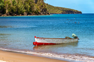 A photo of a local fisherman's boat that just came ashore with the morning catch