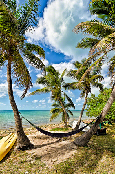 A photo of a hammock between two coconut palm trees with the gulf of mexico