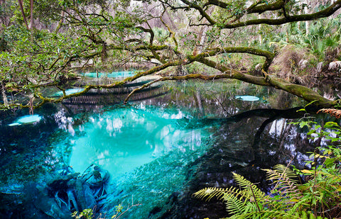 A Landscape Photograph by Fine Art Photographer Mike Ring of Juniper Springs in Ocala, Florida