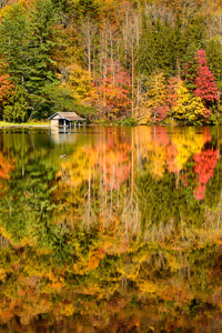 A Landscape Photograph by Fine Art Photographer Mike Ring of Fall color reflecting off of Lake Logan.  