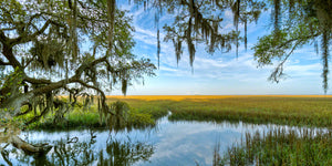 A landscape photograph by Mike Ring the low country on Jekyll Island, Georgi