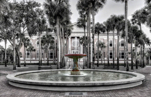 A Landscape Fine Art Photograph by Mike Ring of Palm Court fountain at Stetson College