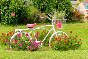A photo by Mike Ring of a rusty old beach cruiser with pink flowers