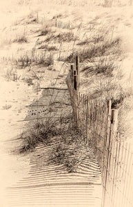 A photograph by Fine Art Photographer Mike Ring of old dune fence with sea oats in St. Augustine Beach, Florida