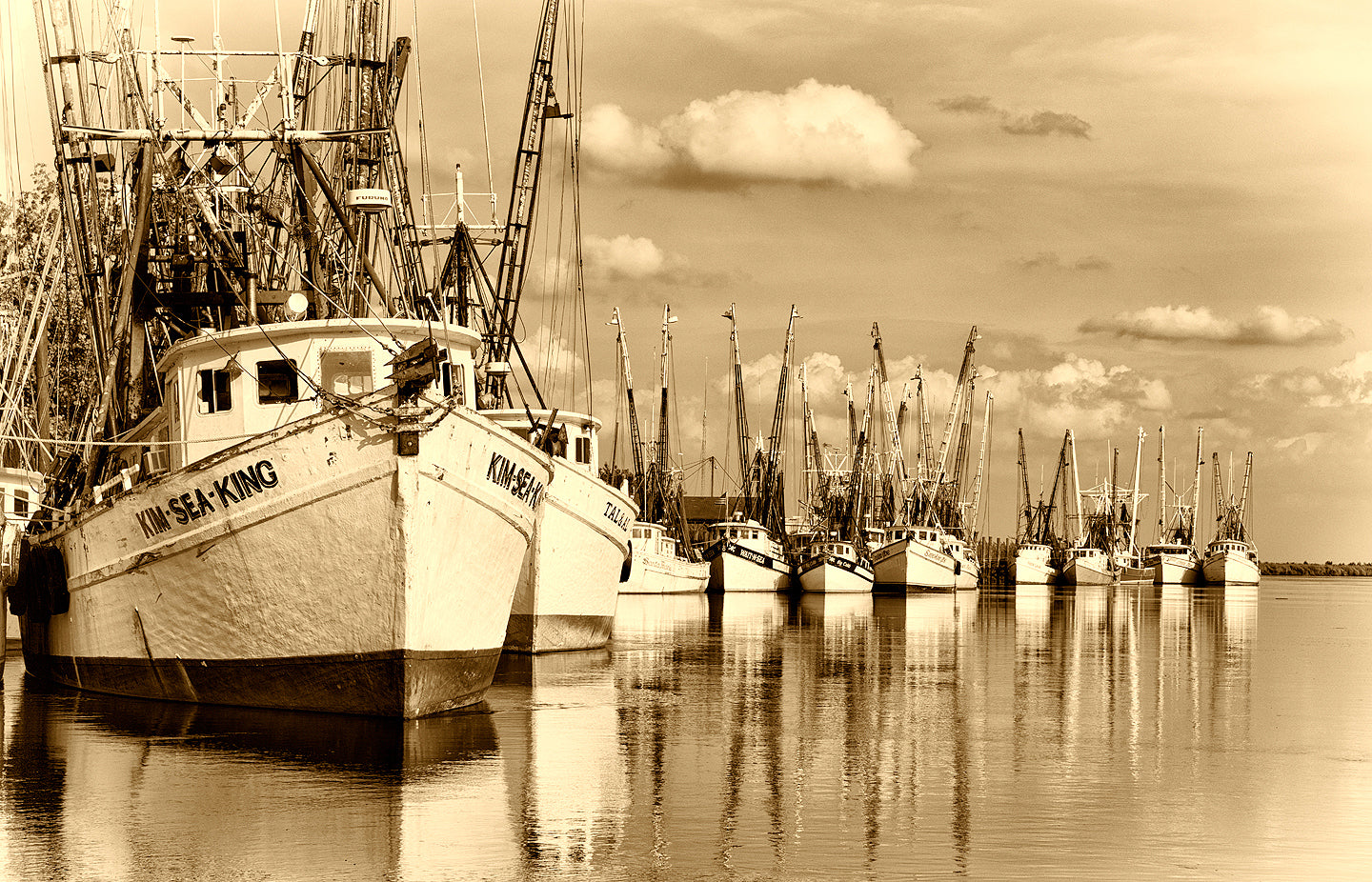 A Landscape Fine Art Photograph by Mike Ring of a shrimp Boats in Darien Georgia. 