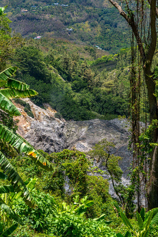 A photo of the lush tropical vegetation growing around the Volcano Soufreire in St. Lucia